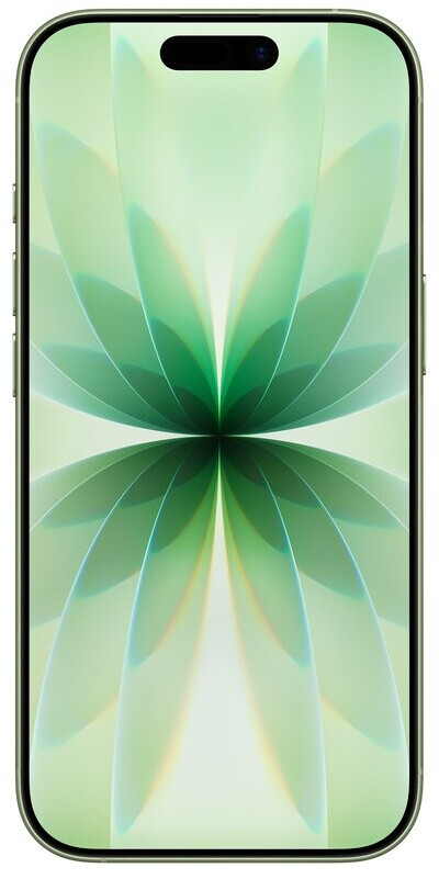 Apple iPhone 17 256 GB Salbei – Bild 3